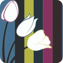  White Tulips Air Fresheners | My Air Freshener